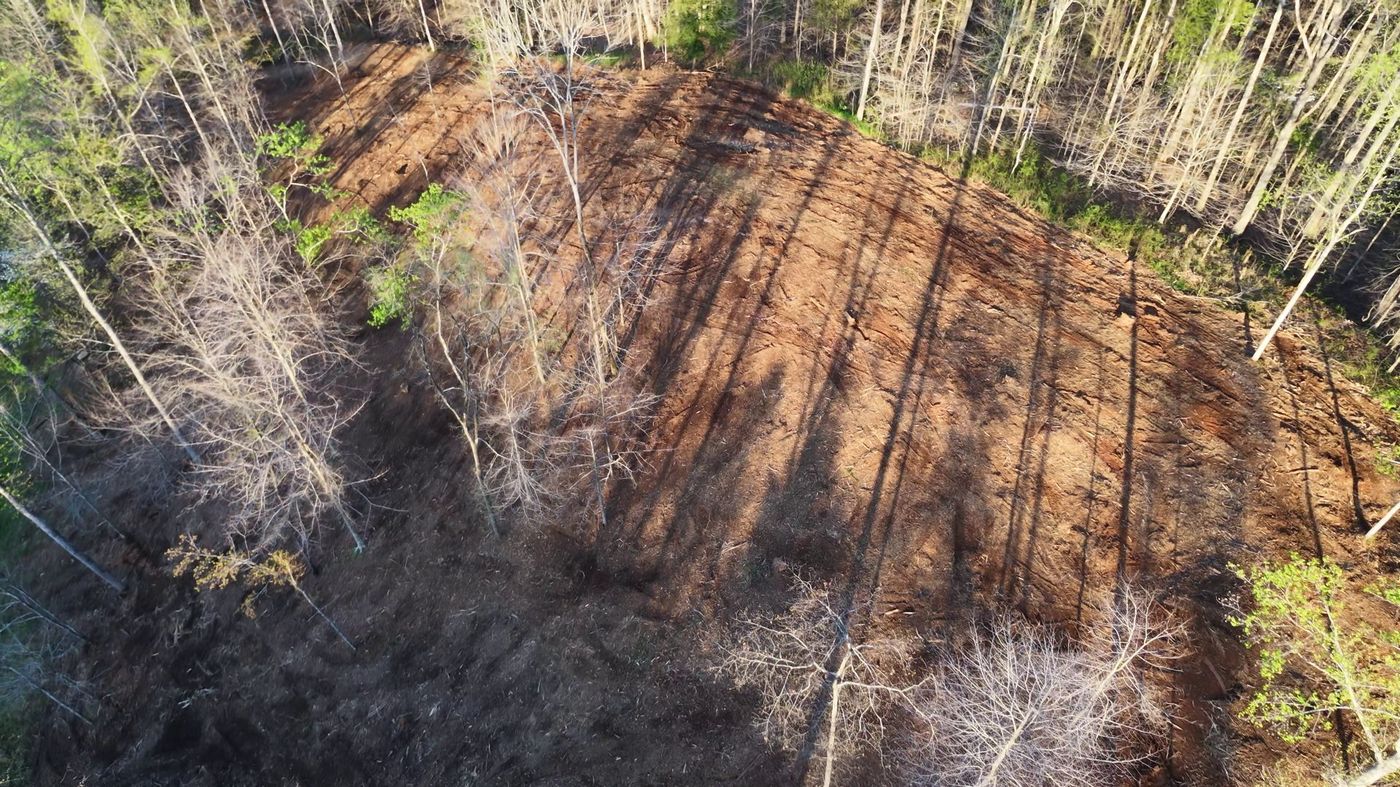 Aerial view of Old Union hillside after forestry mulching with selected trees retained