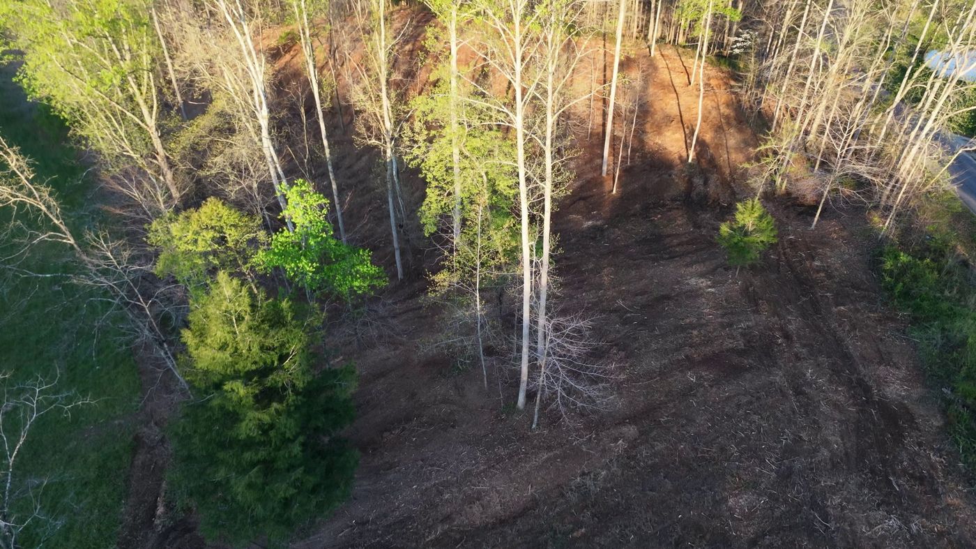 Wide drone view of Old Union after clearing with mature trees kept