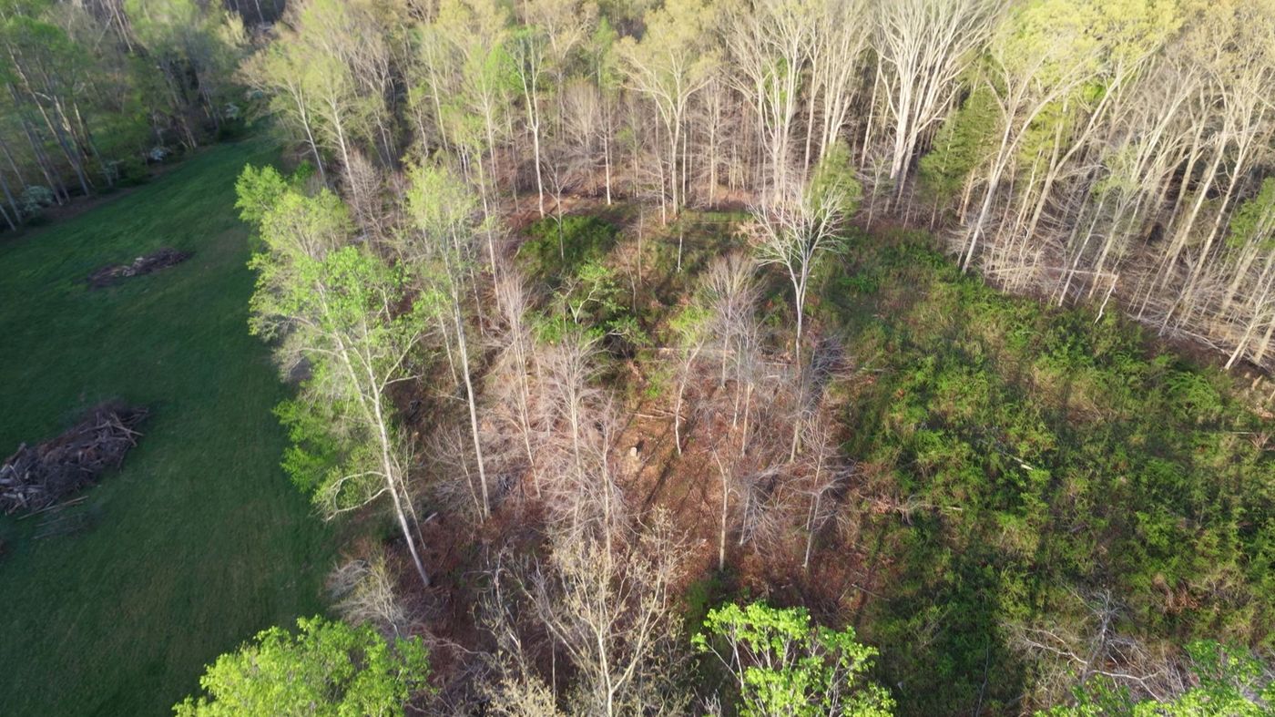Wide view of Old Union acreage before clearing